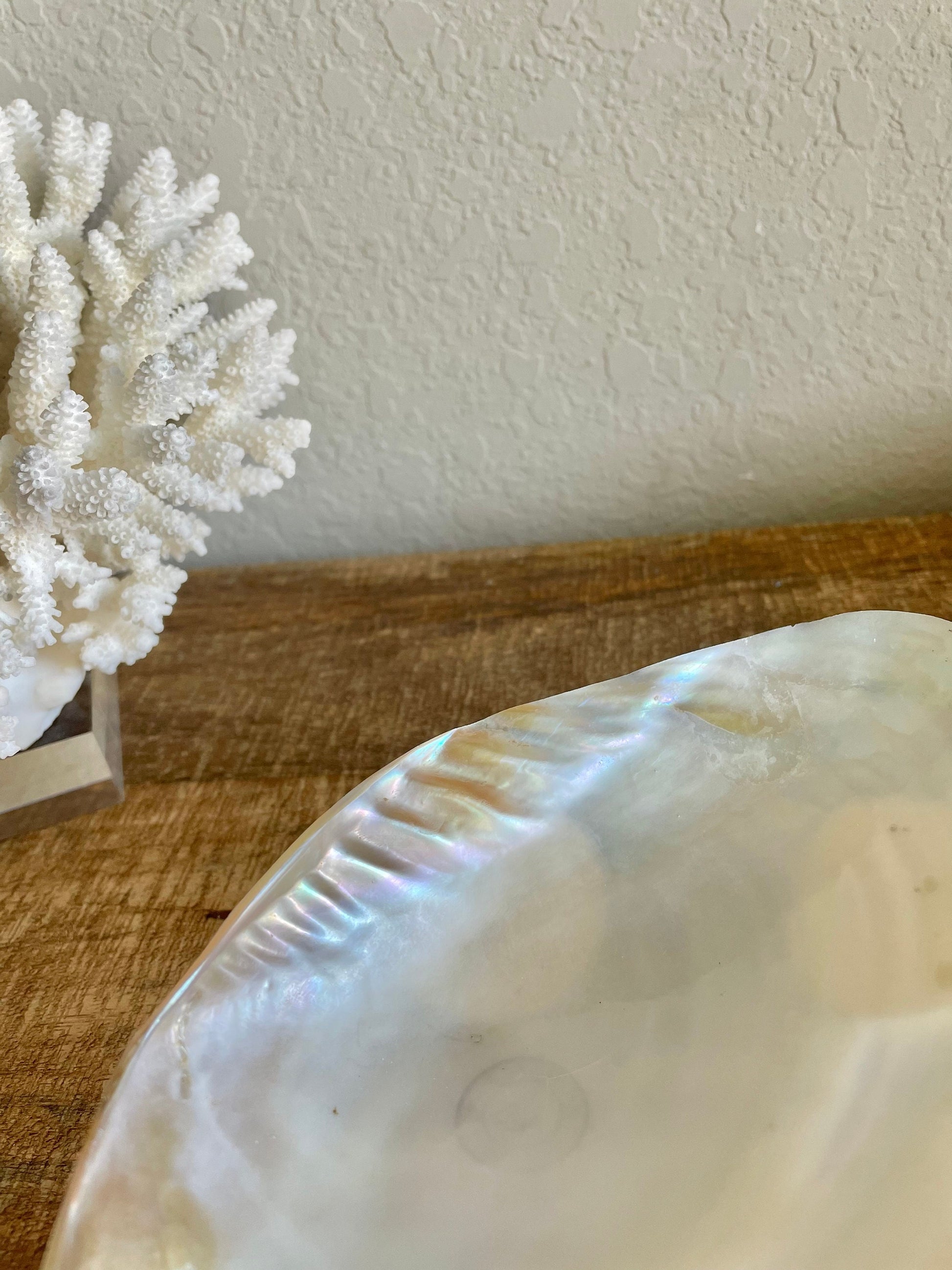 REAL Mother of Pearl 7-8" Irredescent Giant Mussel Decorative Bowl Seashell Footed Jewelry Dish Beach Table Coastal Décor Clam Gift