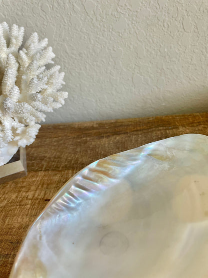 REAL Mother of Pearl 7-8" Irredescent Giant Mussel Decorative Bowl Seashell Footed Jewelry Dish Beach Table Coastal Décor Clam Gift