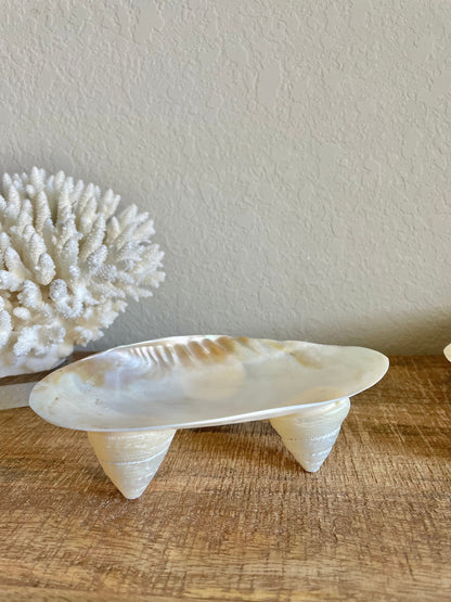 REAL Mother of Pearl 7-8" Irredescent Giant Mussel Decorative Bowl Seashell Footed Jewelry Dish Beach Table Coastal Décor Clam Gift
