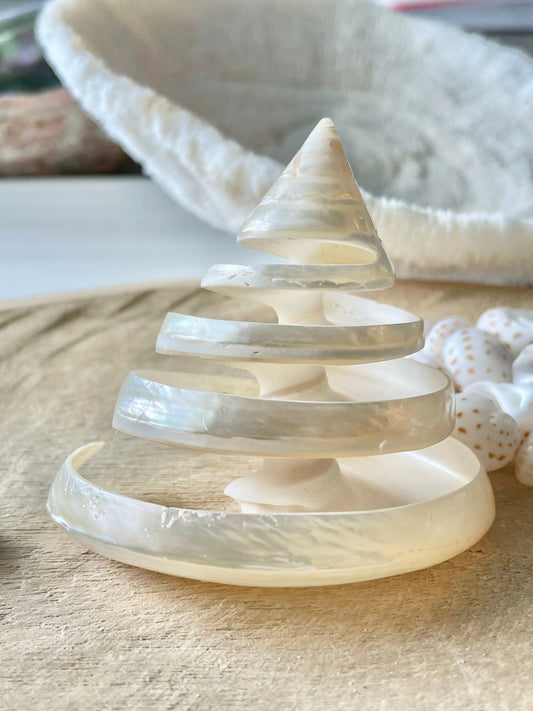 Pearled Spiral Cut Trochus Seashell: You Choose Size, Natural Shells Décor