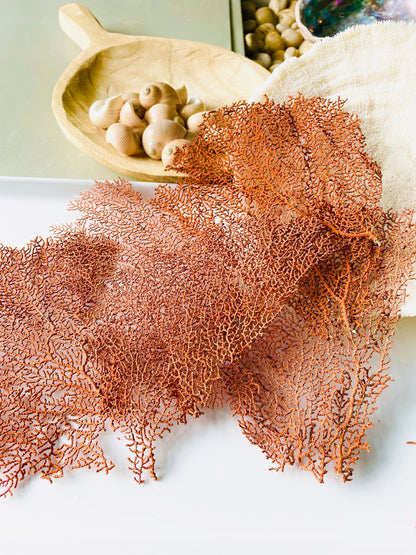 Real Natural Dried Sea Fan Pieces 4-6” Coral Colored Beach Coastal Décor Decorative Crafts FREE SHIPPING
