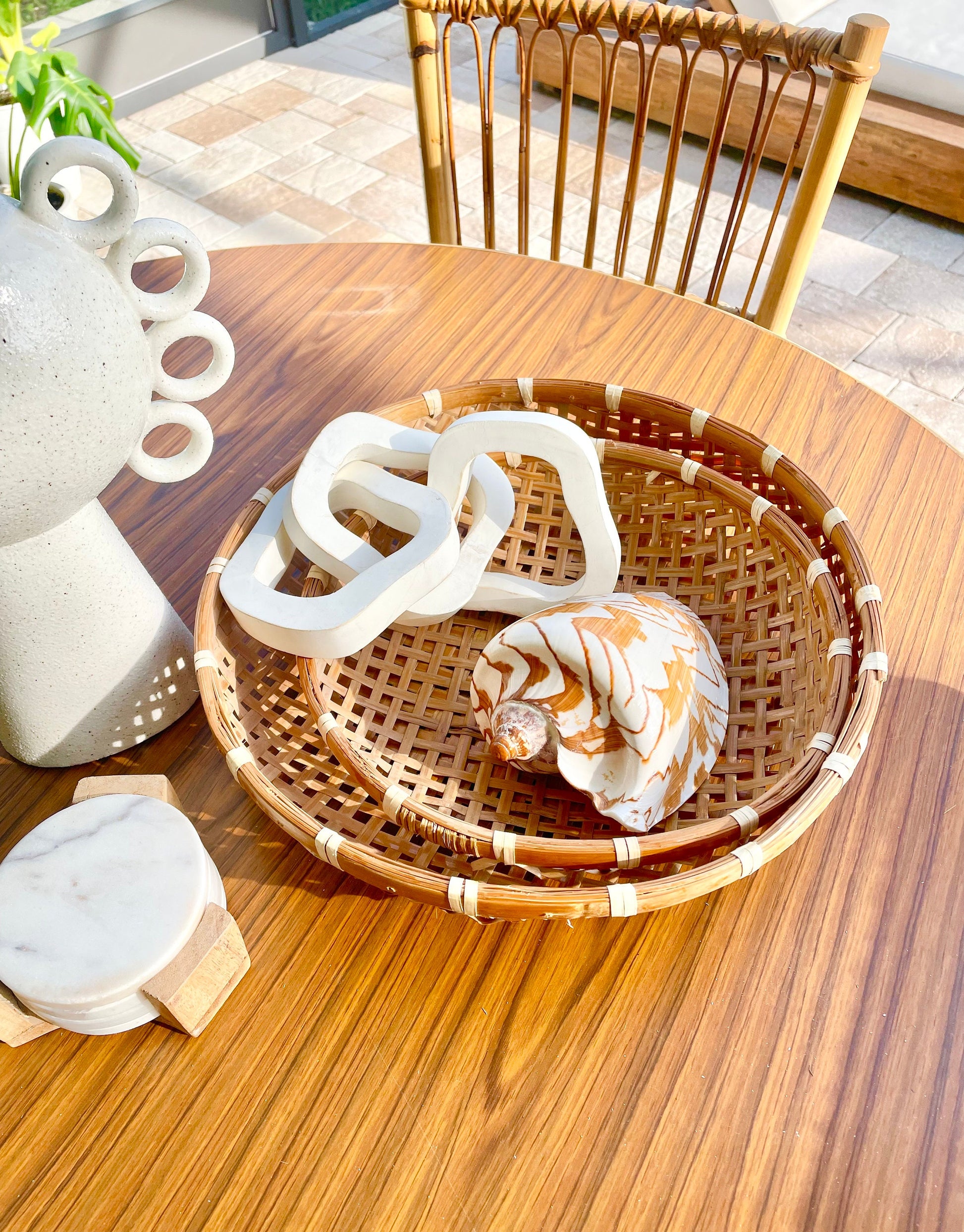 STRIPED NOBLE VOLUTE Shell *All Sizes* Natural Polished Beige Brown Seashell Coastal Décor