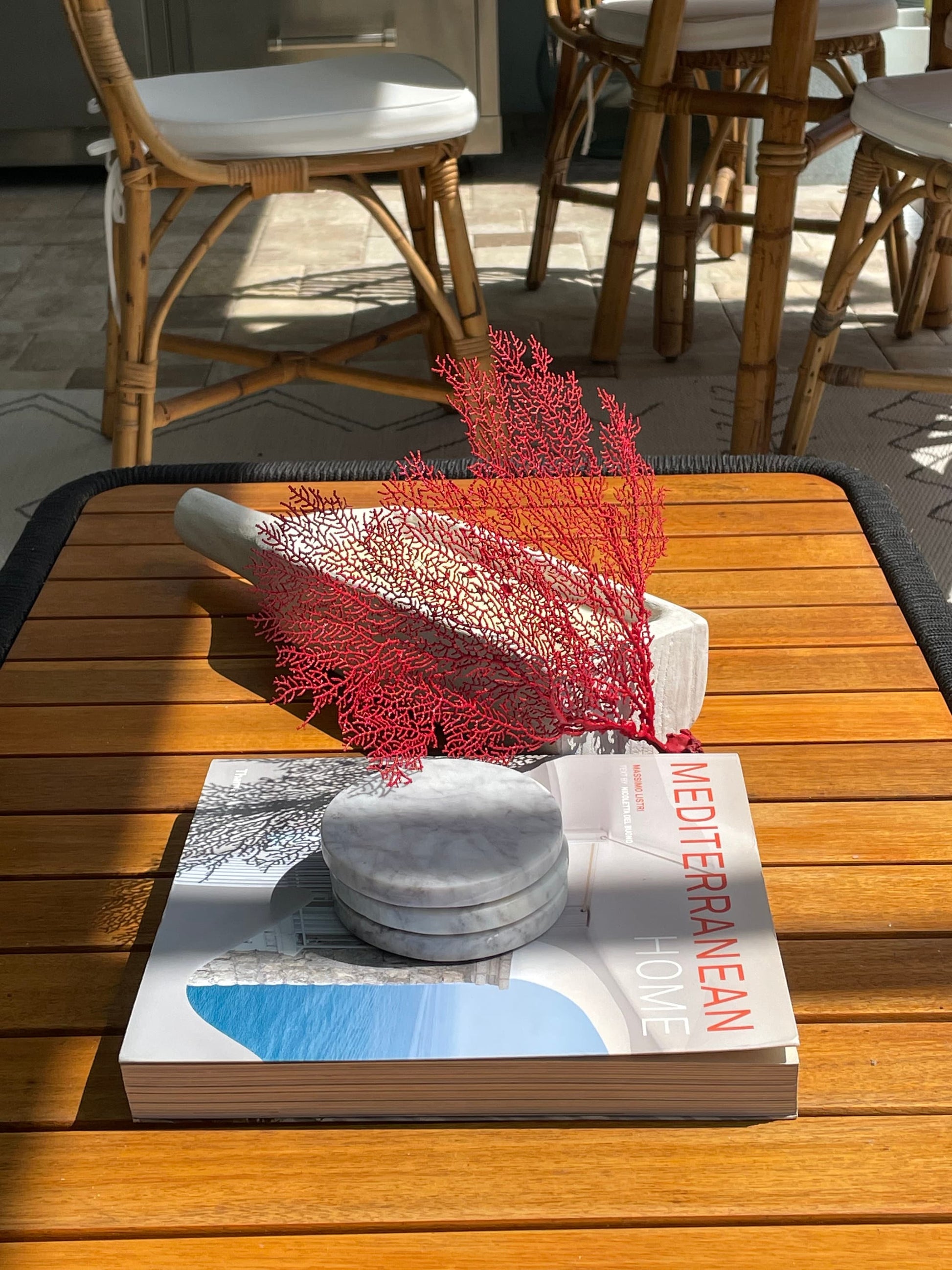 Red Sea Fan 10-16" *You Choose Size* Natural Hand Painted Coastal Décor