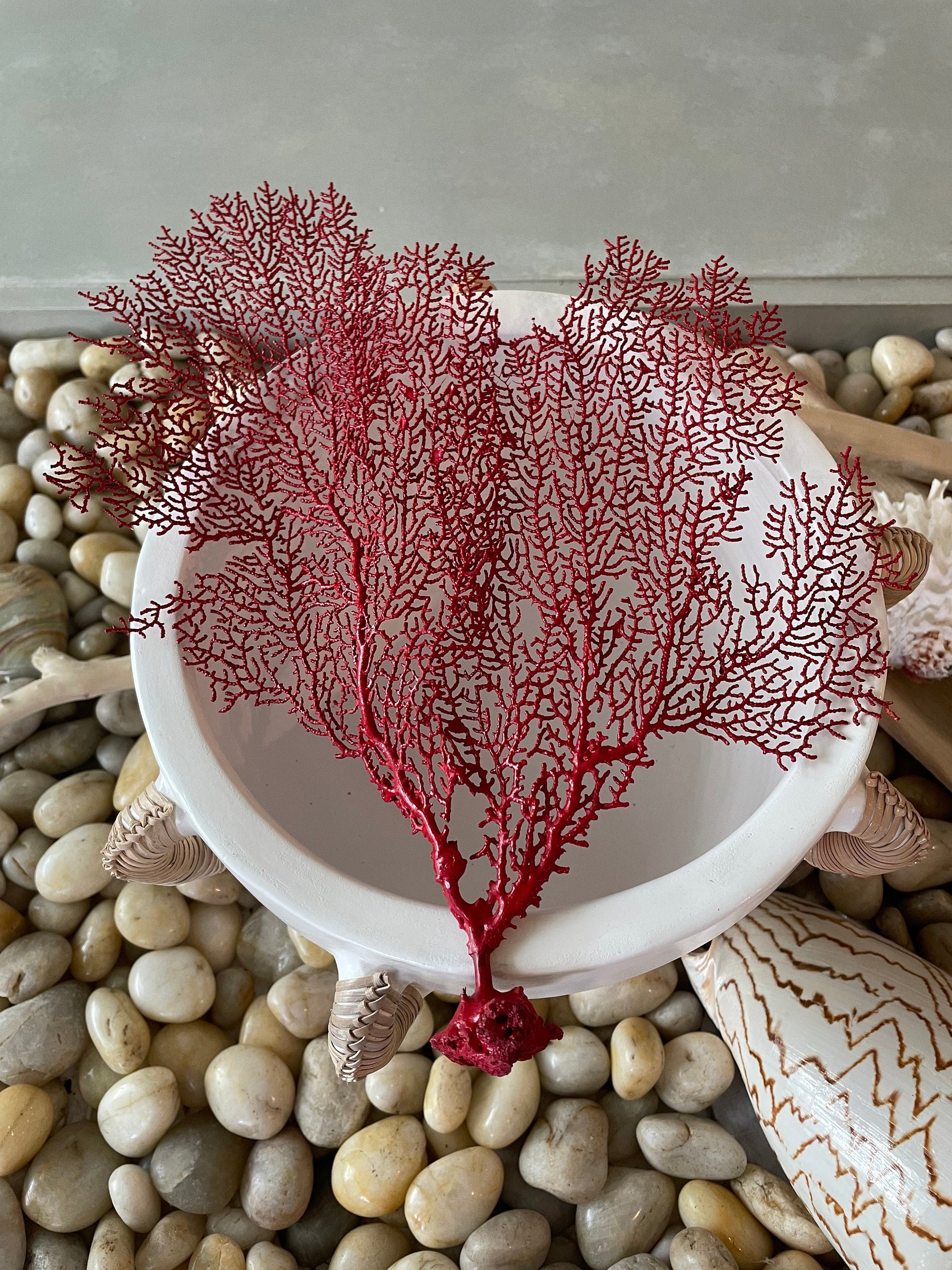 Natural Dried Real Sea Fans Painted RED 8-20" You Choose Size Ocean Reef Decoration Natural Beach Coastal Décor Display