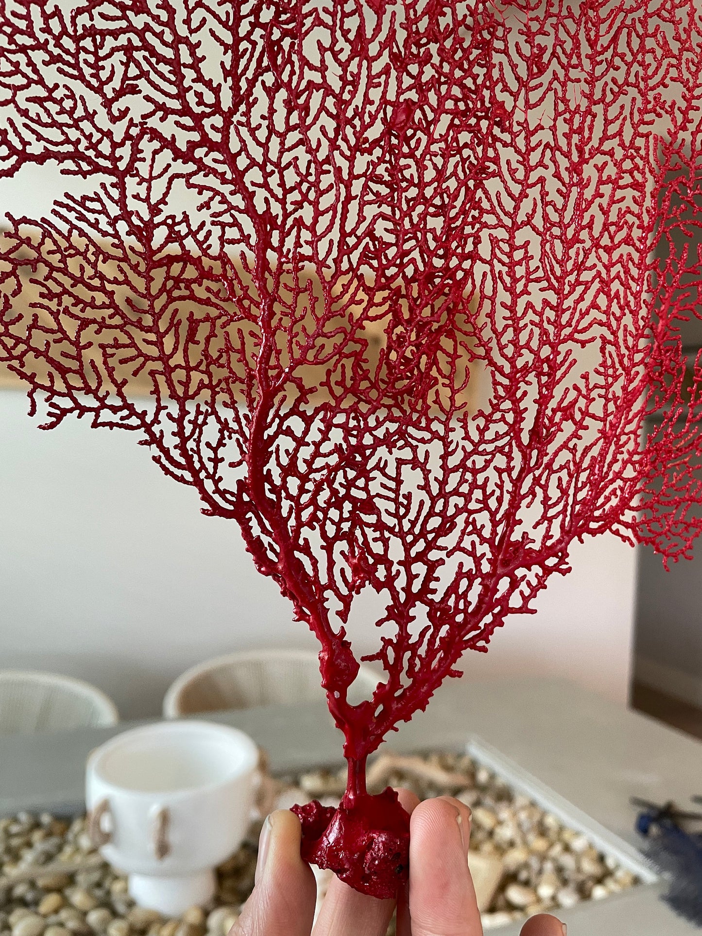 Natural Dried Real Sea Fans Painted RED 8-20" You Choose Size Ocean Reef Decoration Natural Beach Coastal Décor Display