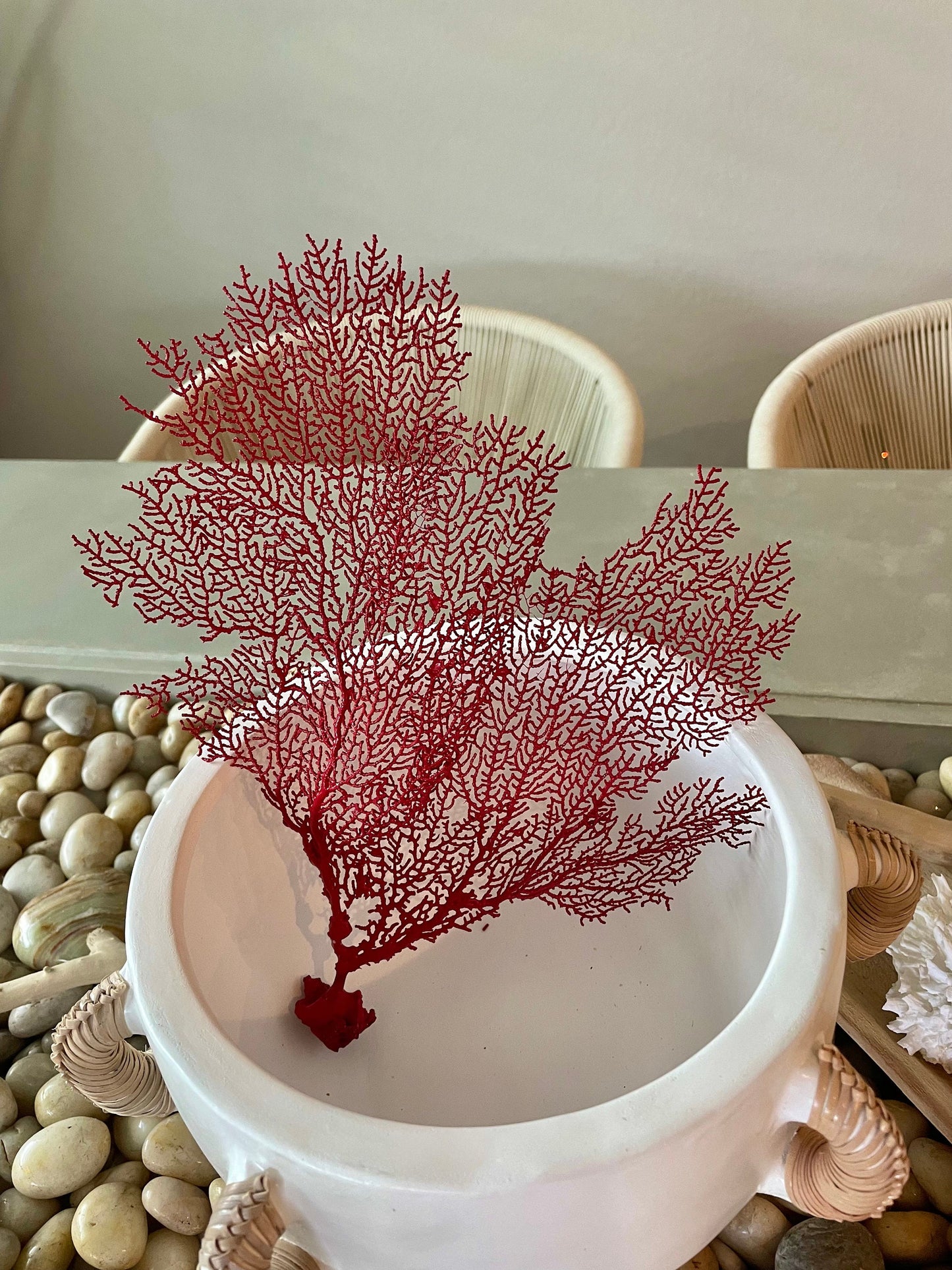 Red Sea Fan 10-16" *You Choose Size* Natural Hand Painted Coastal Décor
