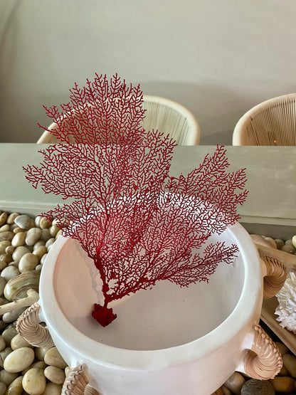Red Sea Fan 10-16" *You Choose Size* Natural Hand Painted Coastal Décor