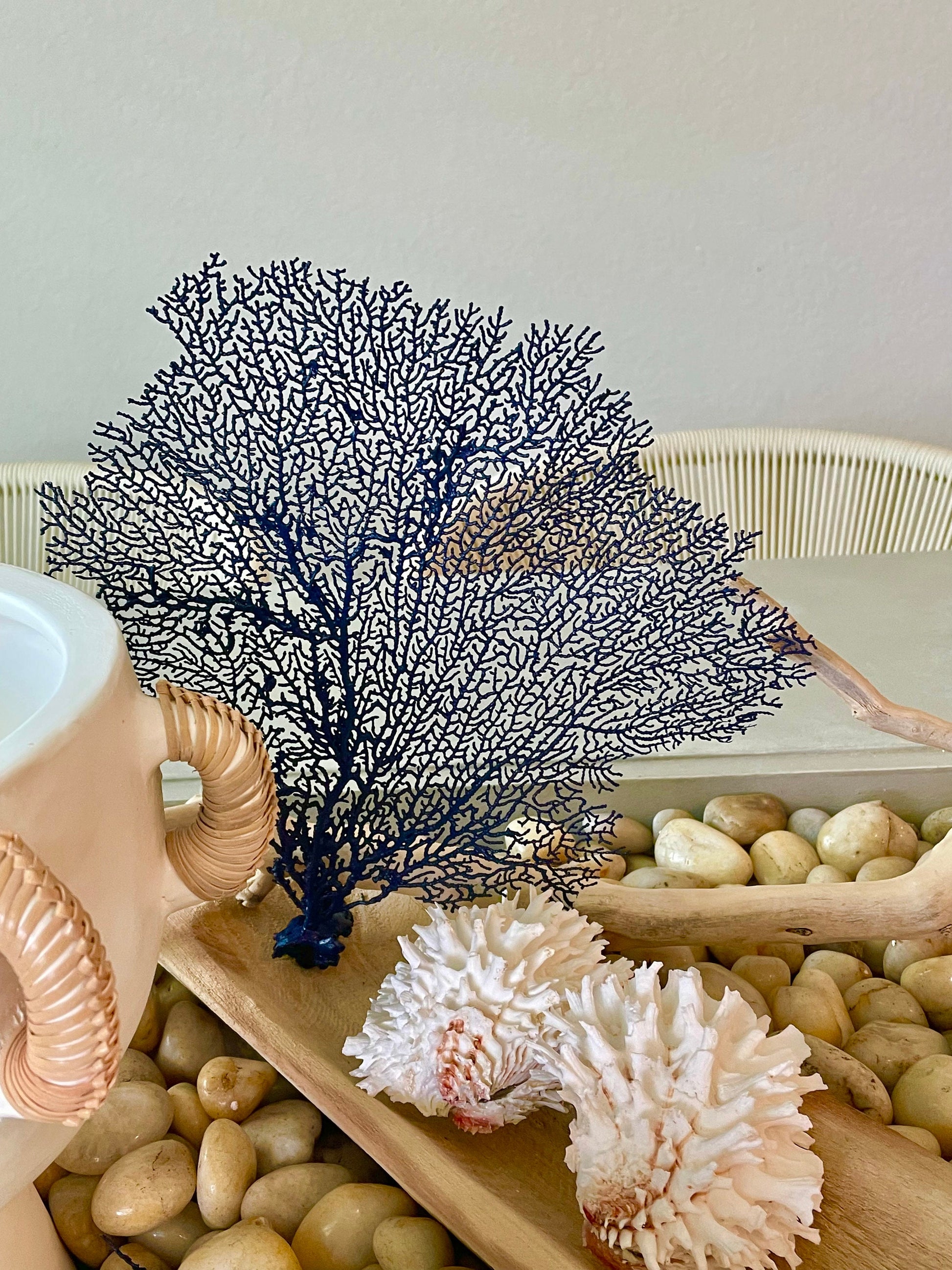 Navy Blue Sea Fan 10-16" *You Choose Size* Natural Hand Painted Coastal Décor