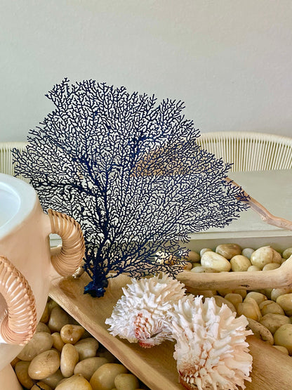 Navy Blue Sea Fan 10-16" *You Choose Size* Natural Hand Painted Coastal Décor