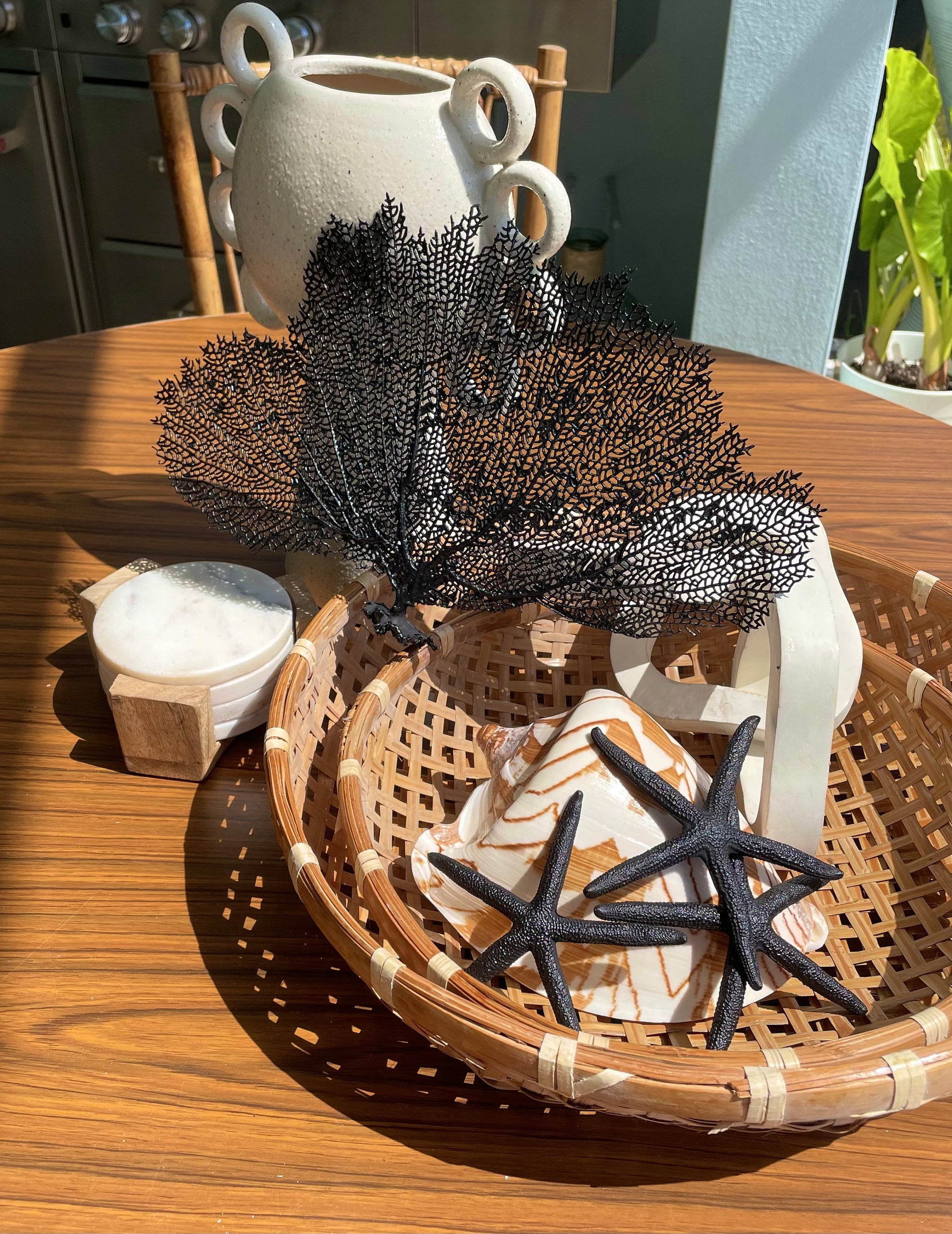 Natural Dried Real Sea Fans Painted BLACK 8-20" You Choose Size Ocean Reef Decoration Natural Beach Coastal Décor Display