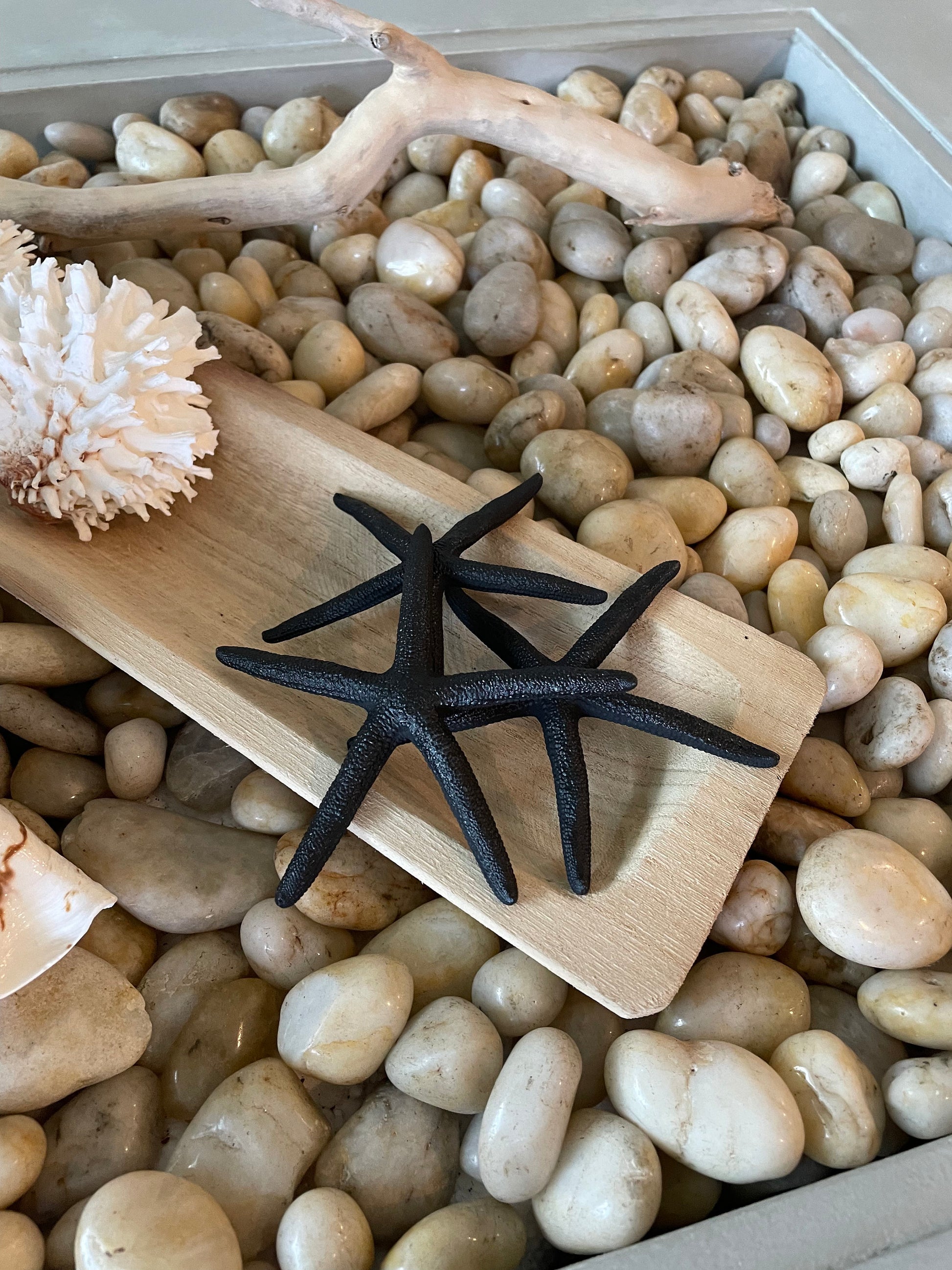 Natural Dried Real Sea Fans Painted BLACK 8-20" You Choose Size Ocean Reef Decoration Natural Beach Coastal Décor Display