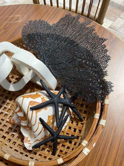Black Sea Fan 10-16" *You Choose Size* Natural Hand Painted Coastal Décor
