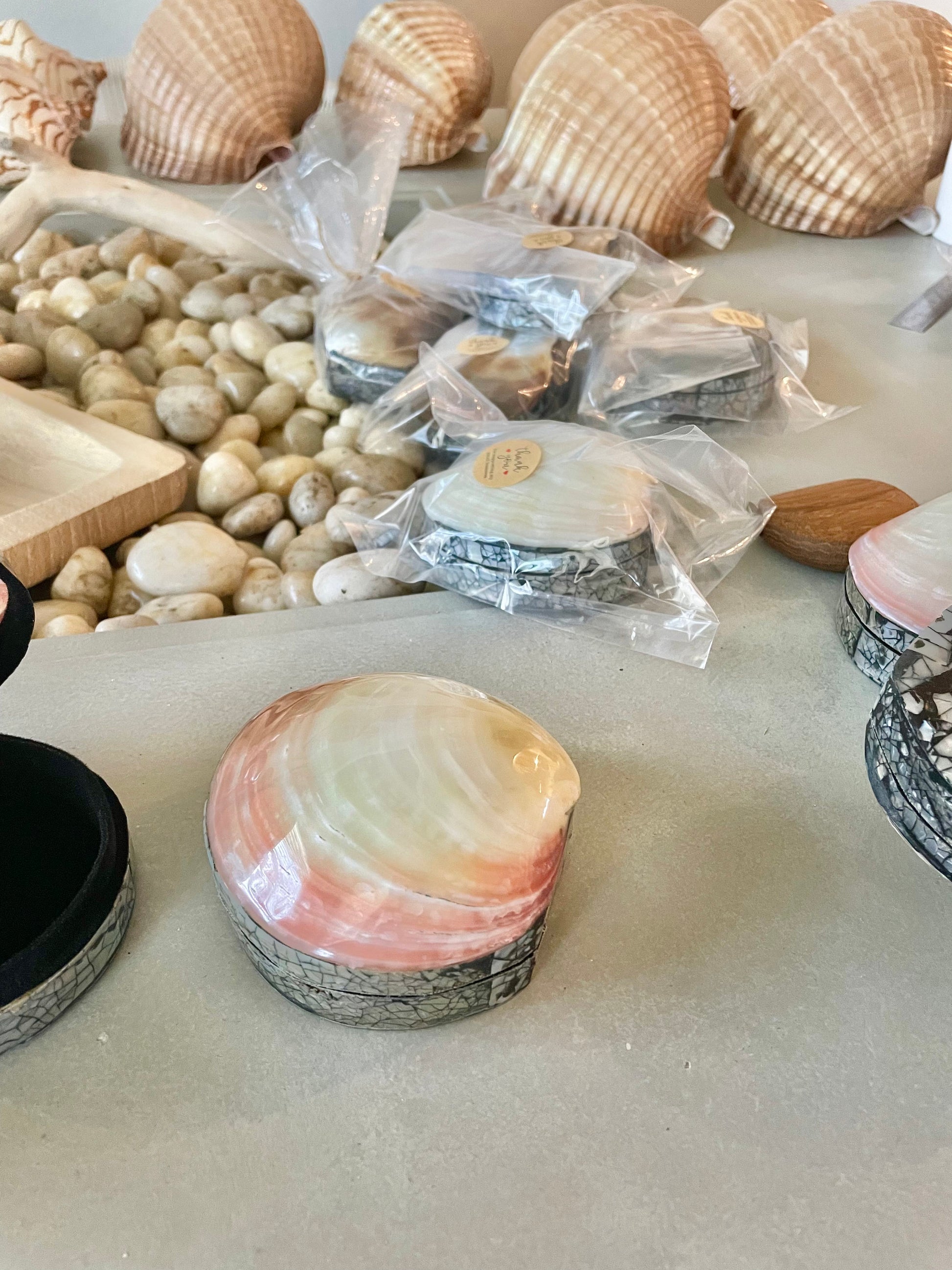 Coastal Gift Box Polished Clam Shell Irredescent Seashell Jewelry Box Trinket Dish 4" Beach Décor Decoration Abalone