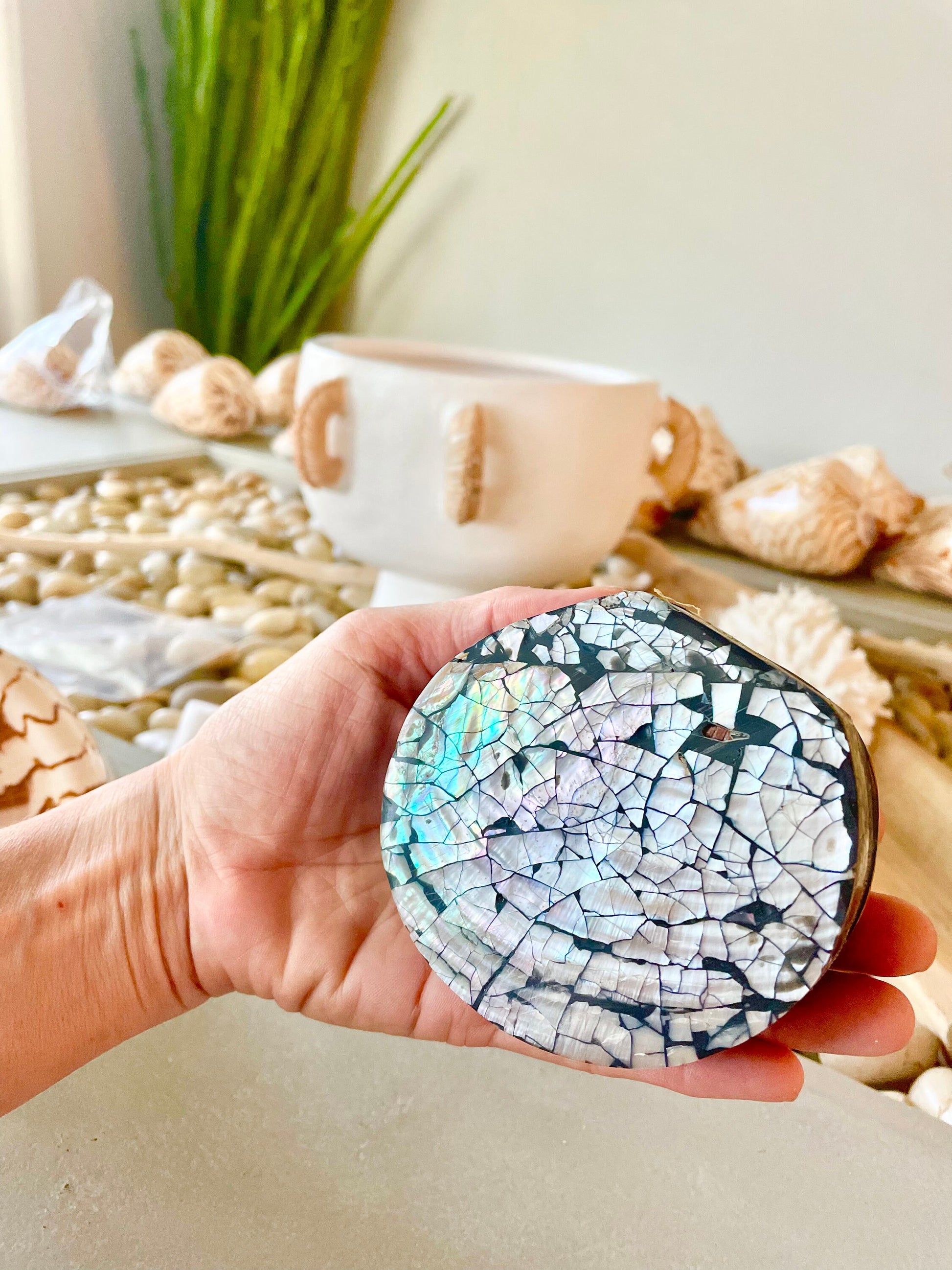 Coastal Gift Box Polished Clam Shell Irredescent Seashell Jewelry Box Trinket Dish 4" Beach Décor Decoration Abalone