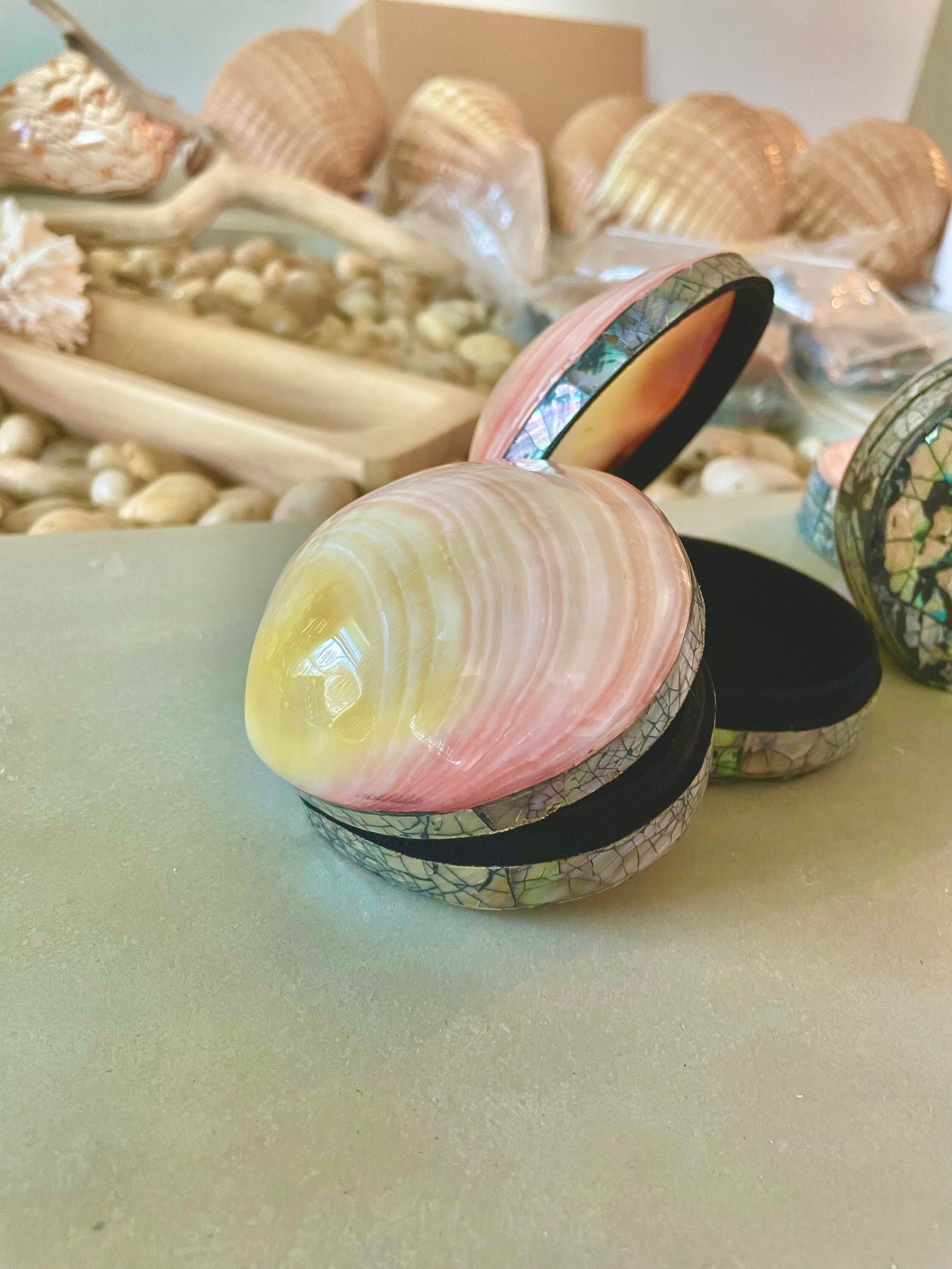 Coastal Gift Box Polished Clam Shell Irredescent Seashell Jewelry Box Trinket Dish 4" Beach Décor Decoration Abalone