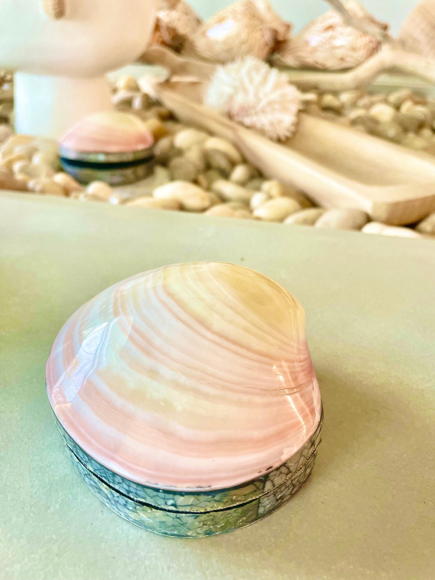 Coastal Gift Box Polished Clam Shell Irredescent Seashell Jewelry Box Trinket Dish 4" Beach Décor Decoration Abalone