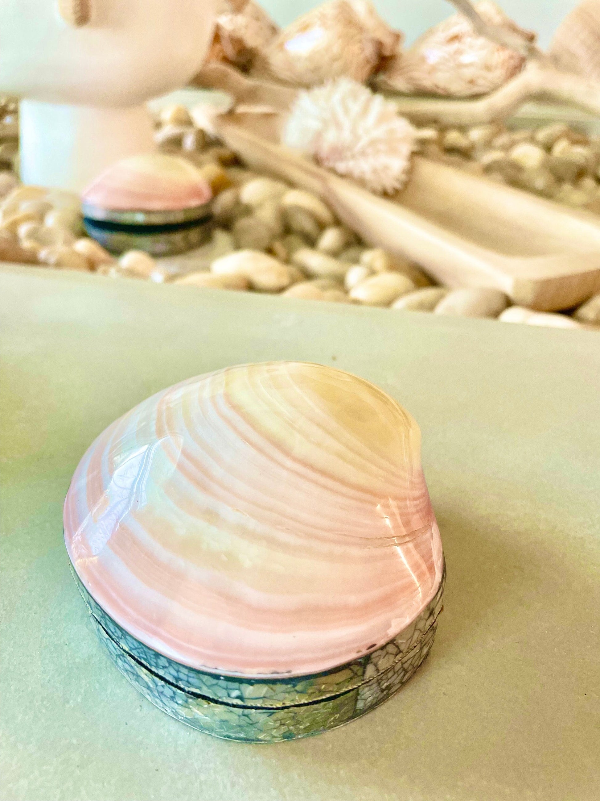Coastal Gift Box Polished Clam Shell Irredescent Seashell Jewelry Box Trinket Dish 4" Beach Décor Decoration Abalone