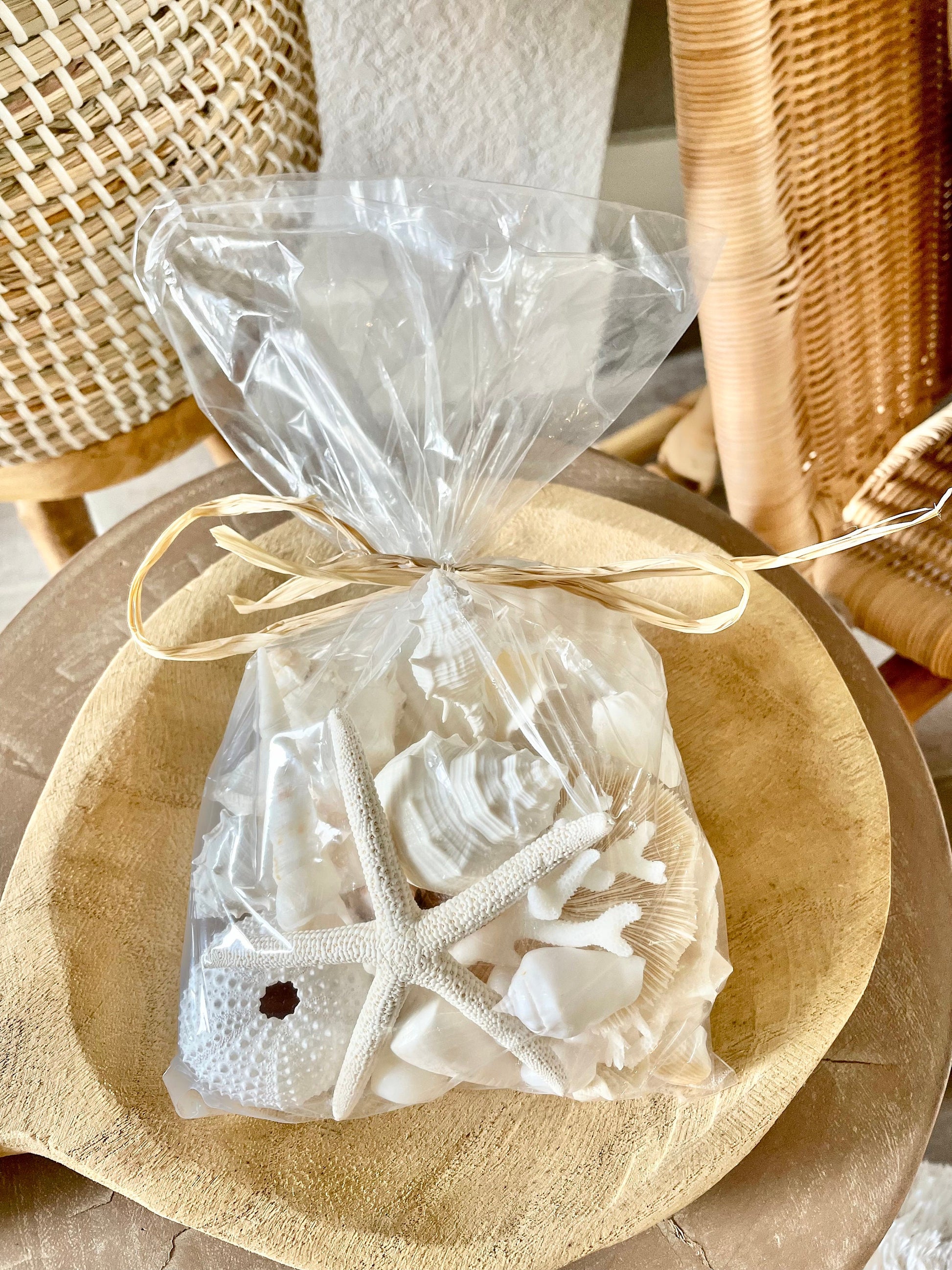 Mystery Beach Box! Various Shells Seashells, Sea Glass, Starfish, Urchins, Sand dollars and more coastal mix