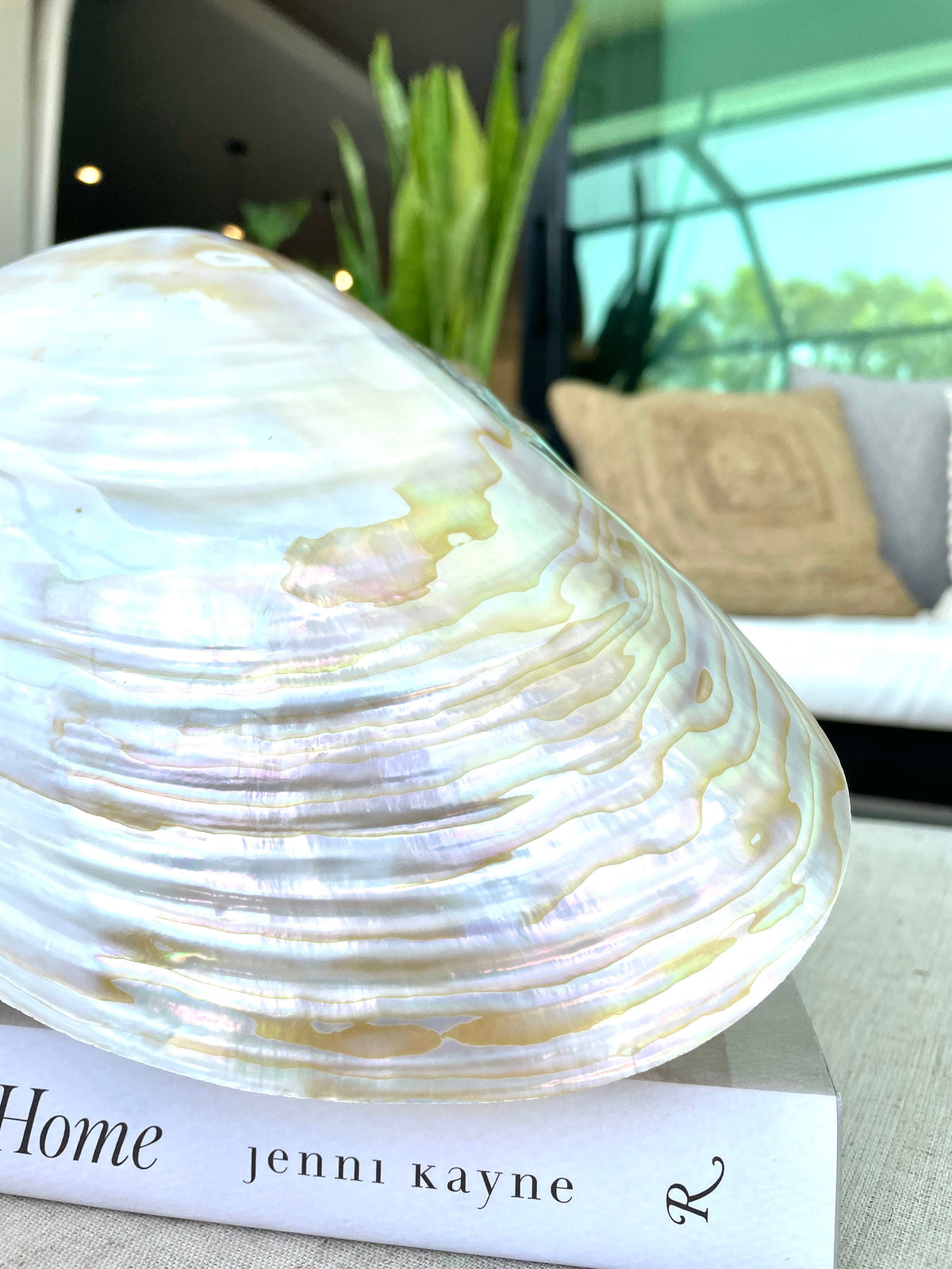 Giant Mussel Shell Half's *All Sizes* Polished Mother of Pearl Decorative Dish
