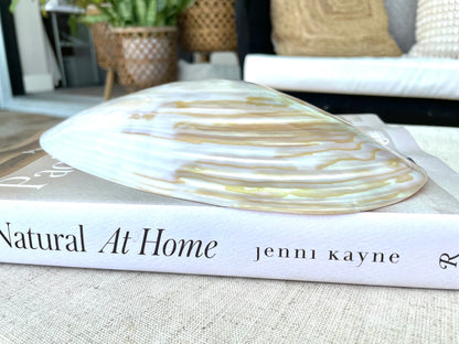 Polished Mother of Pearl Half Shell Irredescent Giant Mussel Clam Seashell 7-11" Beach Nautical Gift Coastal Décor Decorative Bowl Dish