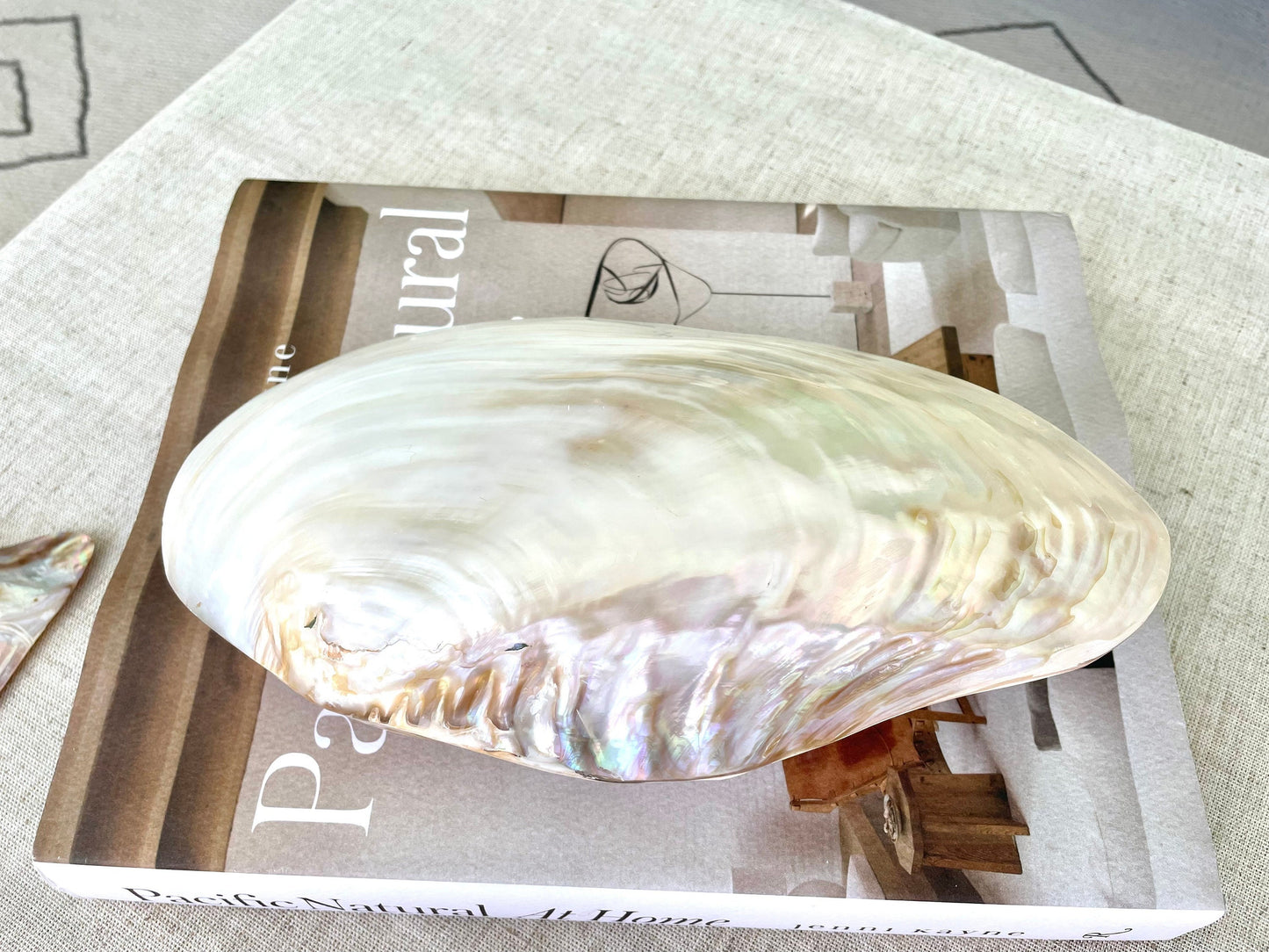 Giant Full Mussel Shell: 7-10" Iridescent Mother of Pearl, Nautical Coastal Décor