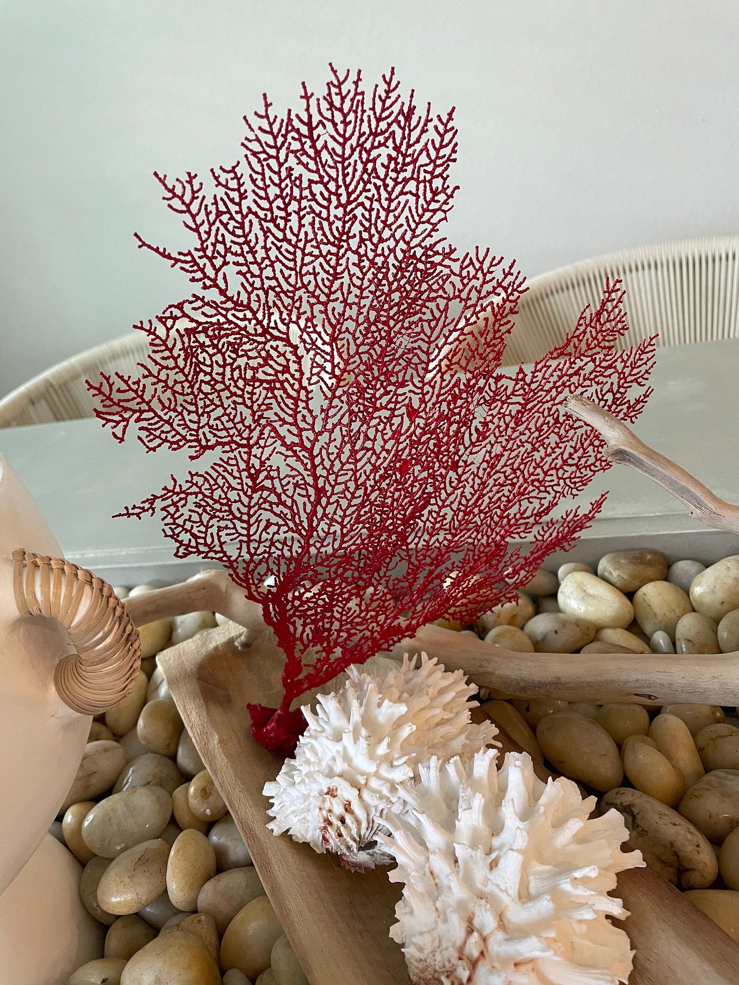 Natural Dried Real Sea Fans Painted RED 8-20" You Choose Size Ocean Reef Decoration Natural Beach Coastal Décor Display