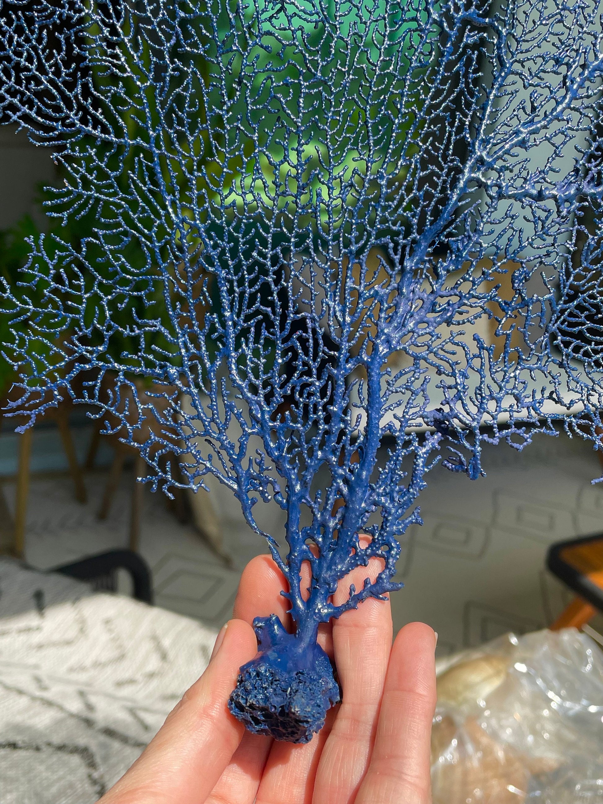 Navy Blue Sea Fan 10-16" *You Choose Size* Natural Hand Painted Coastal Décor