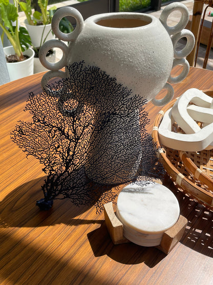 Natural Dried Real Sea Fans Painted NAVY BLUE 8-20" You Choose Size Ocean Reef Decoration Natural Beach Coastal Décor Display