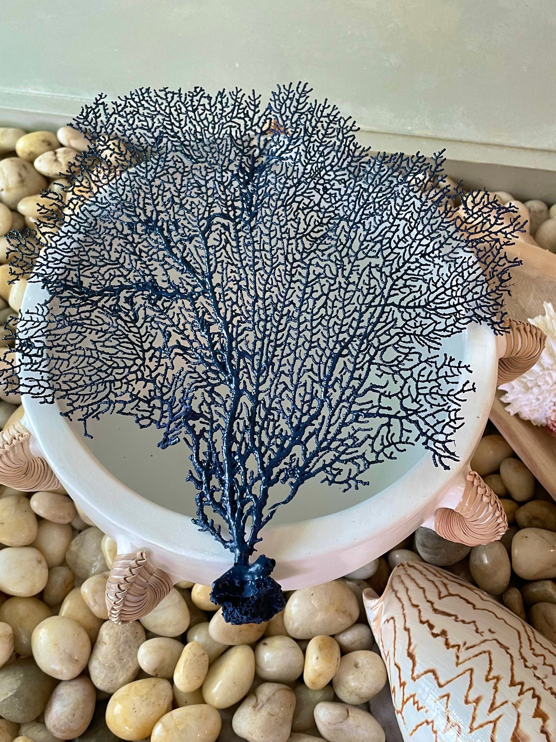 Natural Dried Real Sea Fans Painted NAVY BLUE 8-20" You Choose Size Ocean Reef Decoration Natural Beach Coastal Décor Display