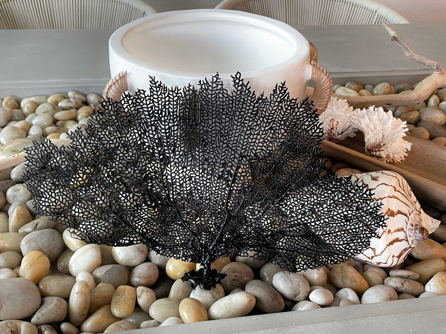 Natural Dried Real Sea Fans Painted BLACK 8-20" You Choose Size Ocean Reef Decoration Natural Beach Coastal Décor Display