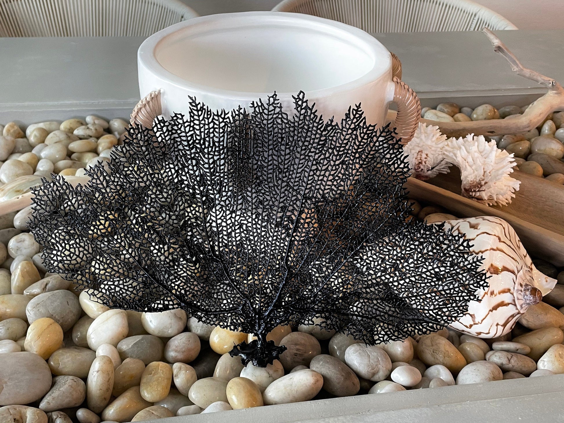 Natural Dried Real Sea Fans Painted BLACK 8-20" You Choose Size Ocean Reef Decoration Natural Beach Coastal Décor Display