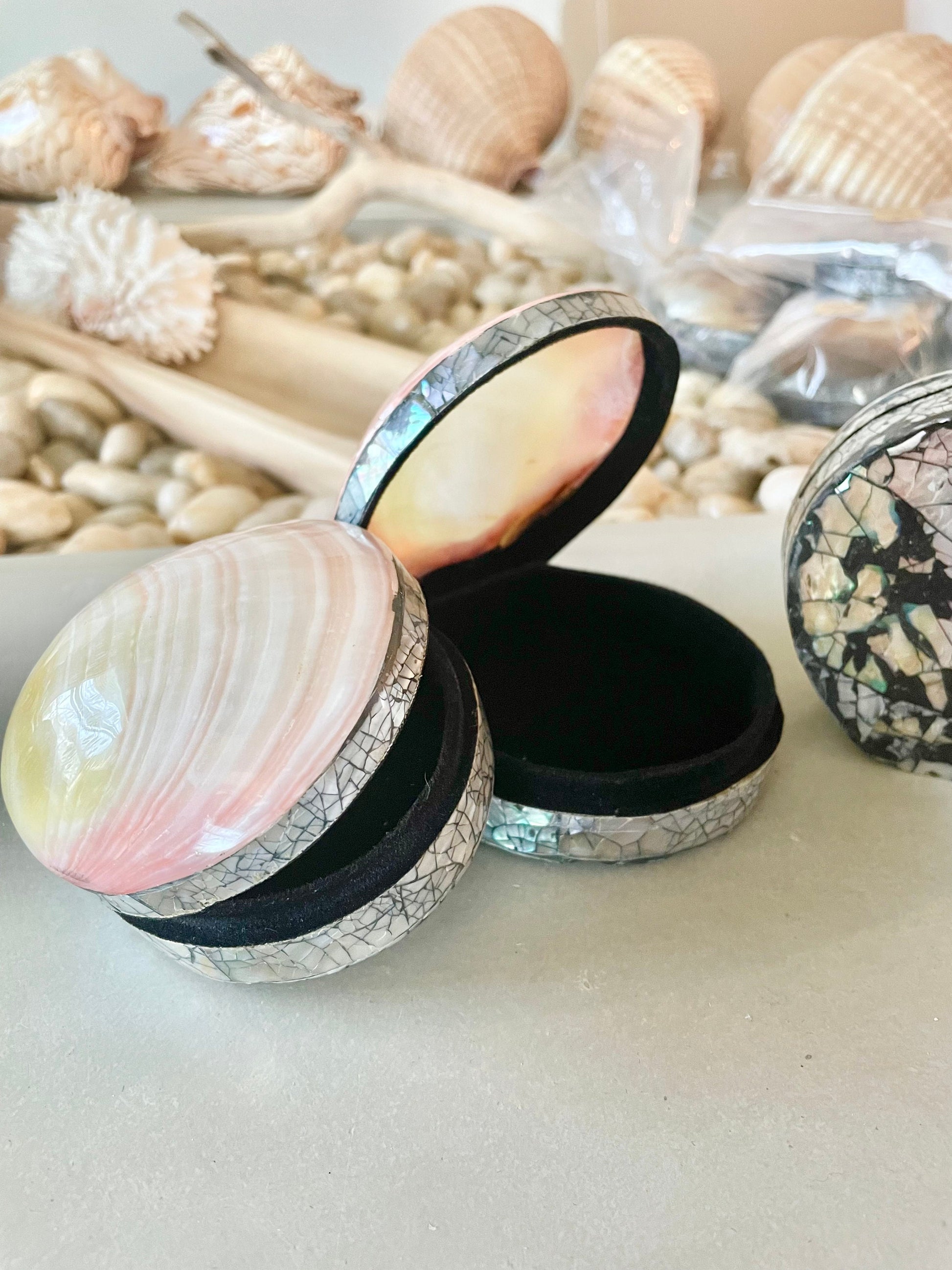 Coastal Gift Box Polished Clam Shell Irredescent Seashell Jewelry Box Trinket Dish 4" Beach Décor Decoration Abalone