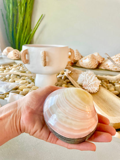 Handmade 4" Clam Shell Jewelry Gift Box Iridescent Yellow Pink Coastal Décor