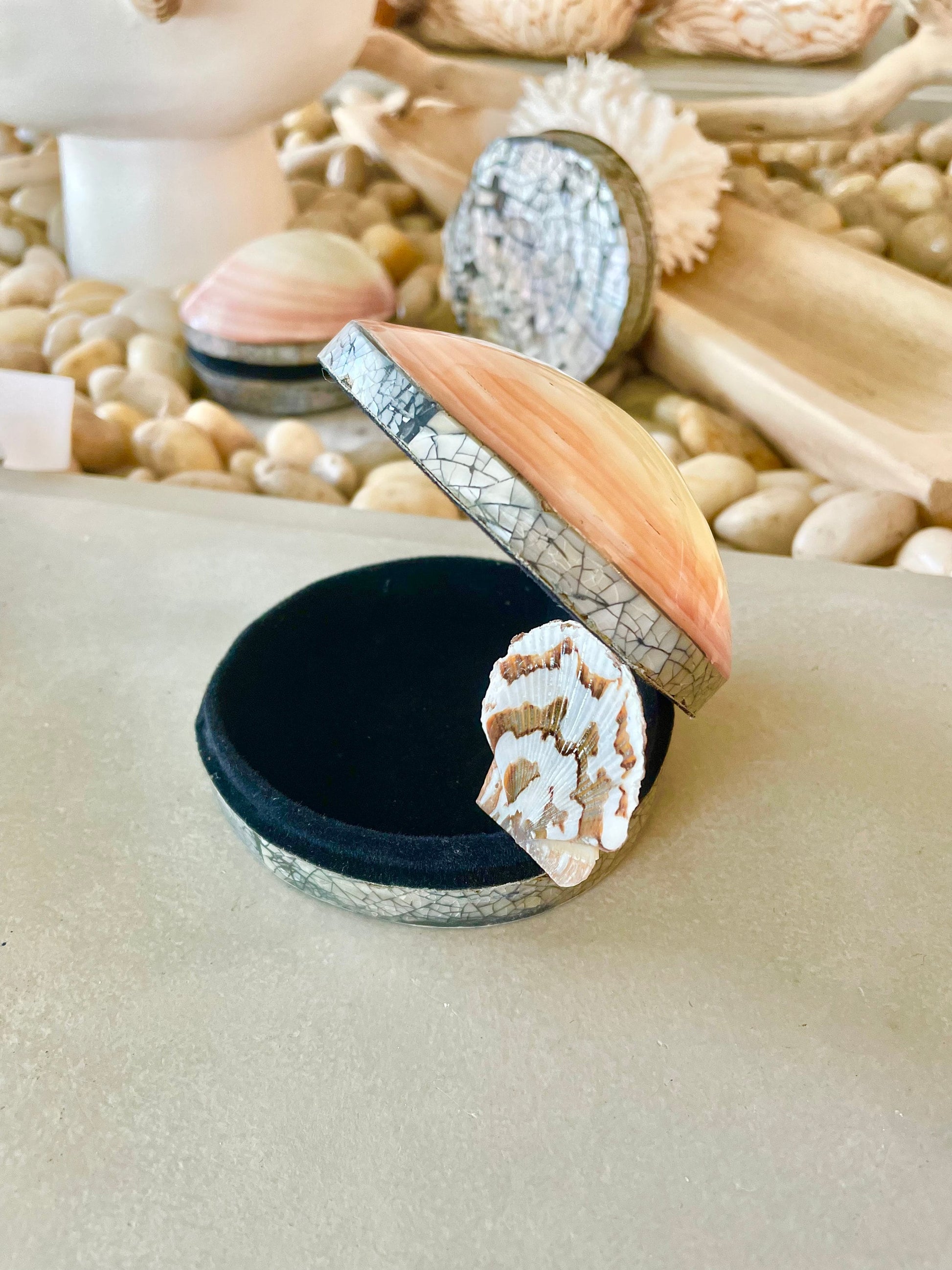 Coastal Gift Box Polished Clam Shell Irredescent Seashell Jewelry Box Trinket Dish 4" Beach Décor Decoration Abalone