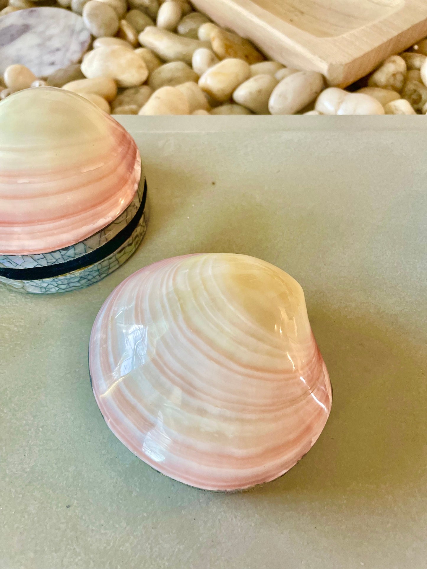 Handmade 4" Clam Shell Jewelry Gift Box Iridescent Yellow Pink Coastal Décor