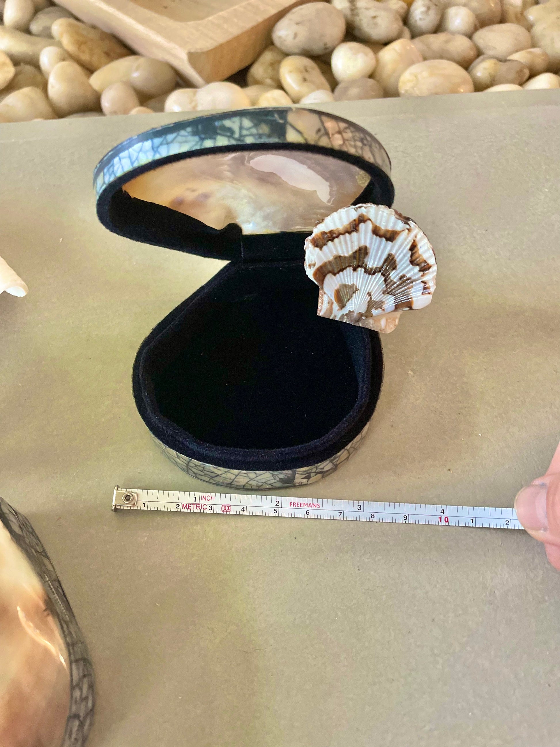 Coastal Gift Box Black Lip Shell Irredescent Seashell Jewelry Box Trinket Dish 4" Beach Décor Mother of Pearl Abalone