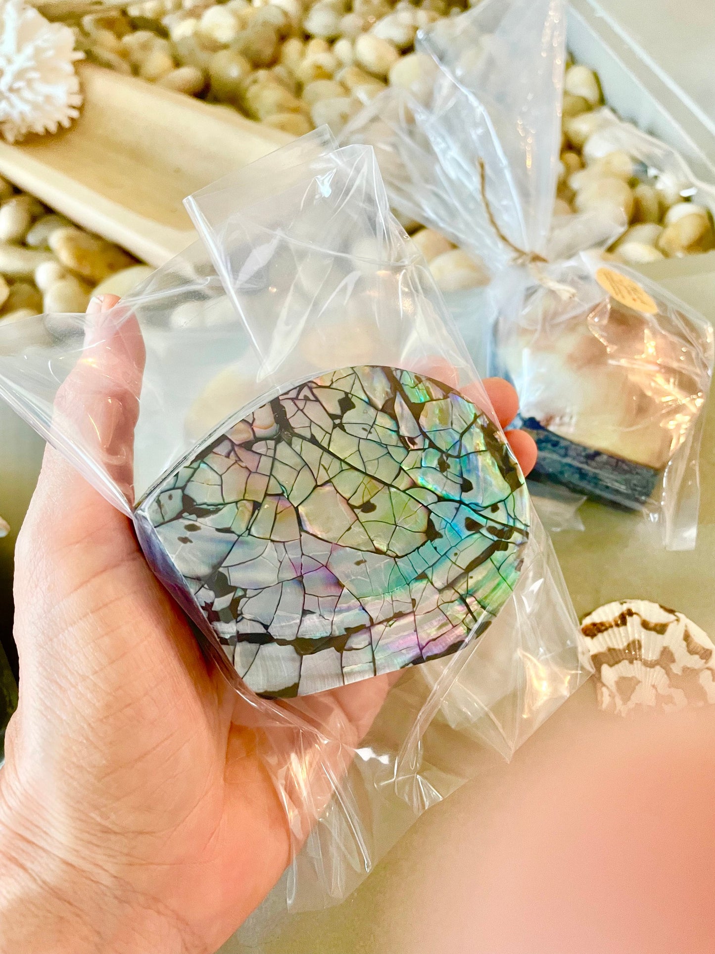 Coastal Gift Box Black Lip 4" Shell Irredescent Seashell Jewelry Beach Décor