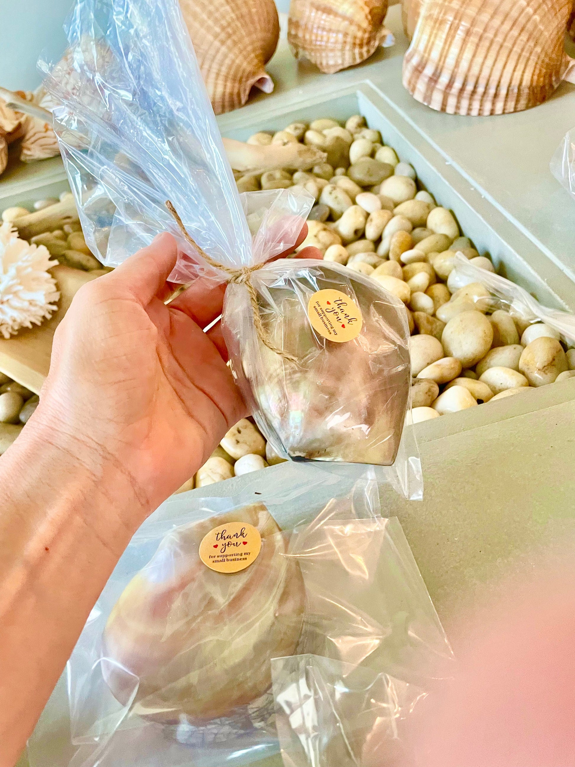 Coastal Gift Box Black Lip Shell Irredescent Seashell Jewelry Box Trinket Dish 4" Beach Décor Mother of Pearl Abalone