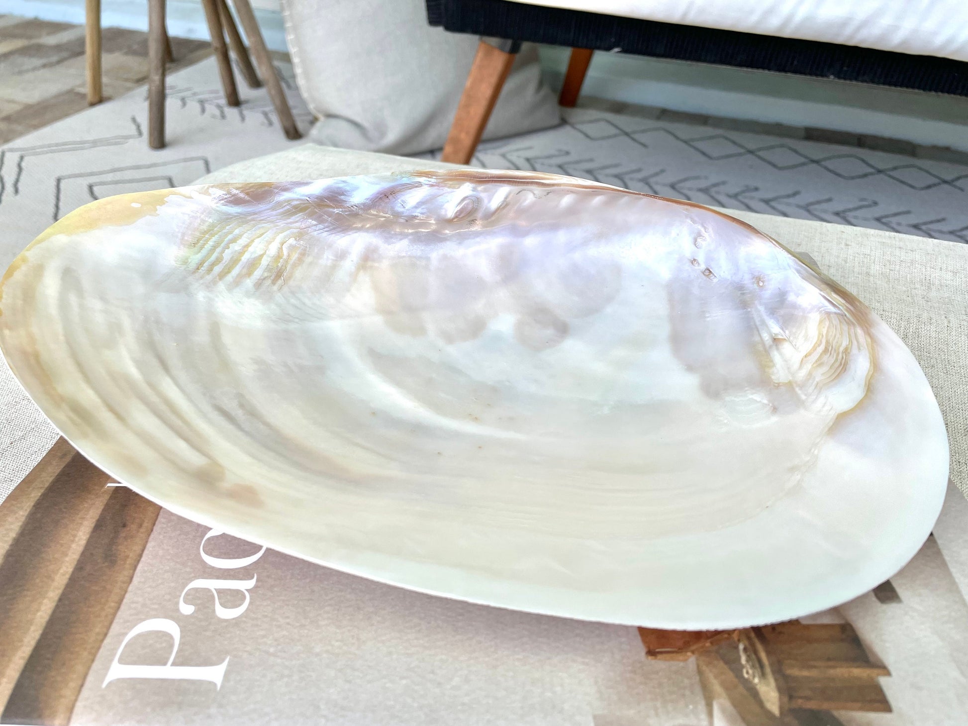 Polished Mother of Pearl Half Shell Irredescent Giant Mussel Clam Seashell 7-11" Beach Nautical Gift Coastal Décor Decorative Bowl Dish