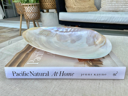 Polished Mother of Pearl Half Shell Irredescent Giant Mussel Clam Seashell 7-11" Beach Nautical Gift Coastal Décor Decorative Bowl Dish