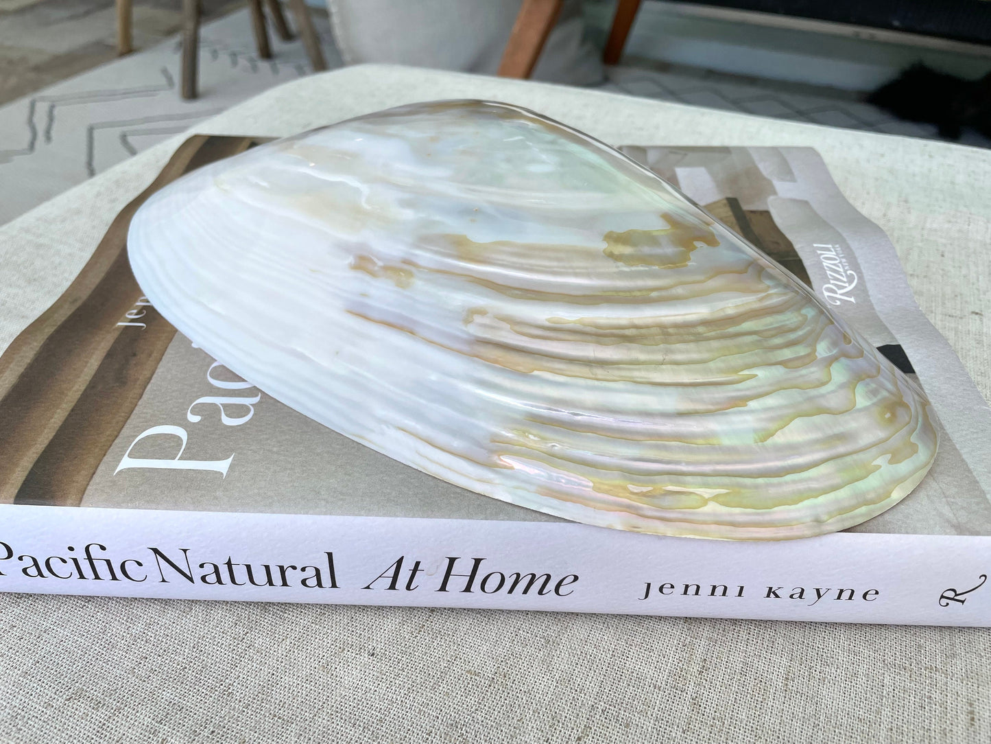Polished Mother of Pearl Half Shell Irredescent Giant Mussel Clam Seashell 7-11" Beach Nautical Gift Coastal Décor Decorative Bowl Dish