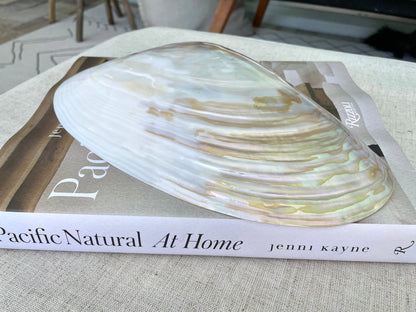 Polished Mother of Pearl Half Shell Irredescent Giant Mussel Clam Seashell 7-11" Beach Nautical Gift Coastal Décor Decorative Bowl Dish