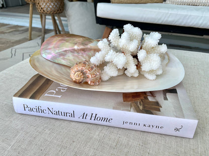 Giant Mussel Shell Half's *All Sizes* Polished Mother of Pearl Decorative Dish