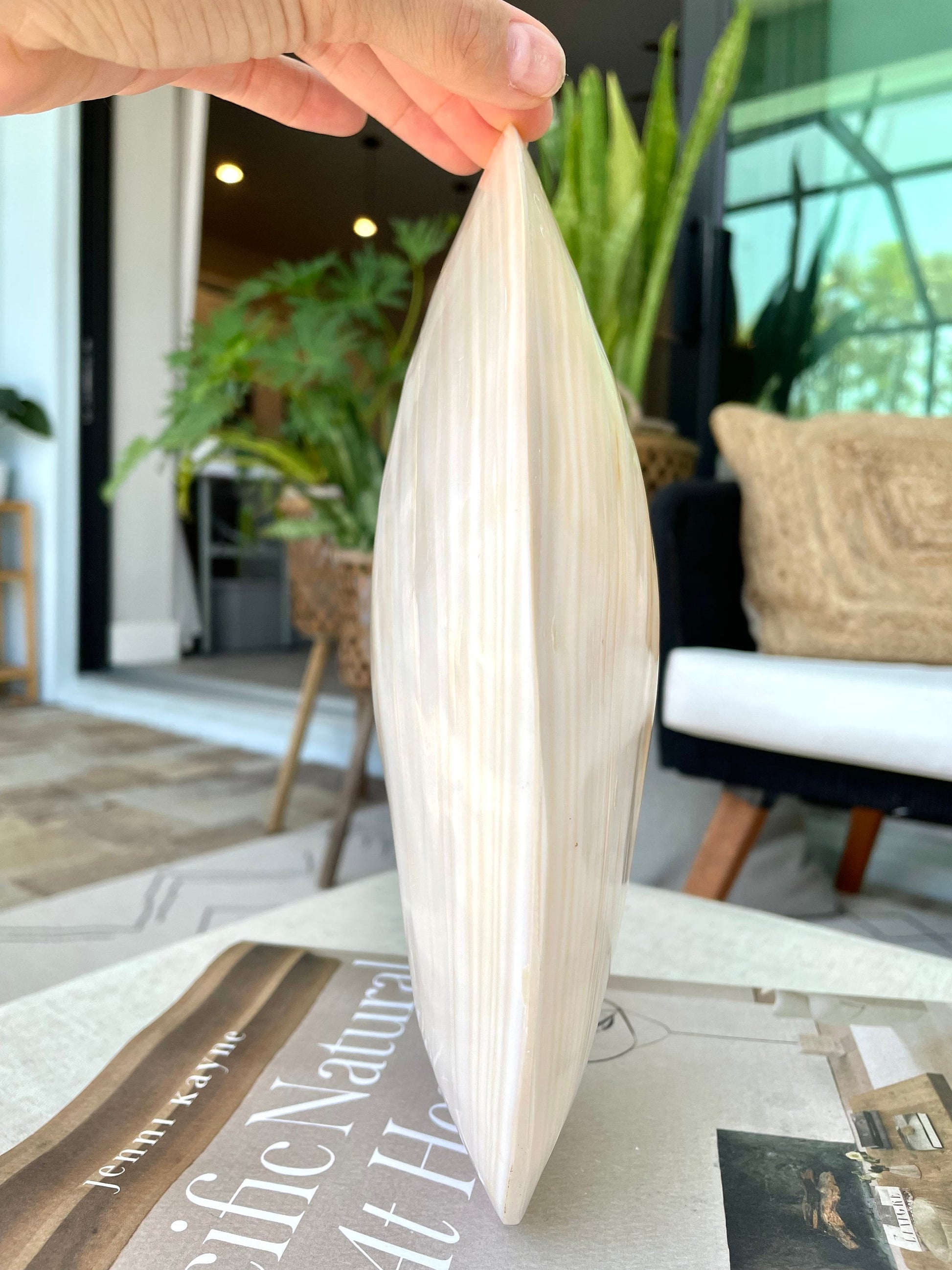 Giant Full Mussel Shell: 7-10" Iridescent Mother of Pearl, Nautical Coastal Décor