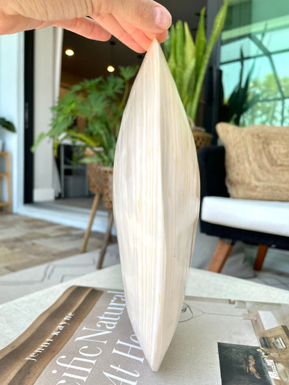 Giant Full Mussel Shell: 7-10" Iridescent Mother of Pearl, Nautical Coastal Décor