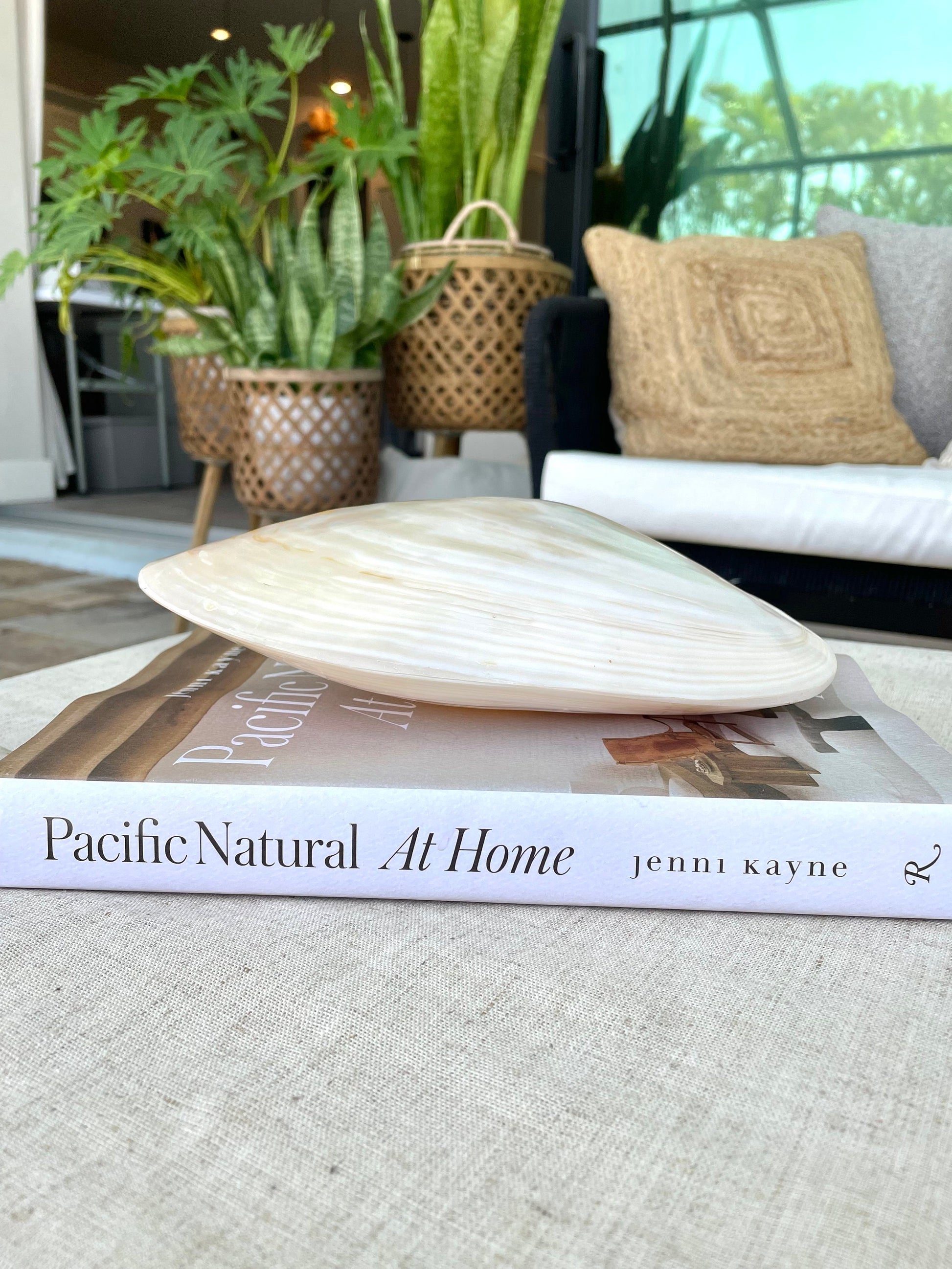 Giant Full Mussel Shell: 7-10" Iridescent Mother of Pearl, Nautical Coastal Décor