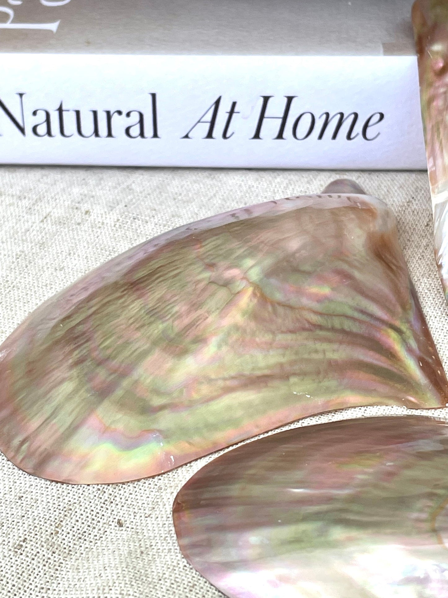 Iridescent Wing Oyster Shell: Brown Lip Mother of Pearl, Jewelry Pendant (2.5-6")