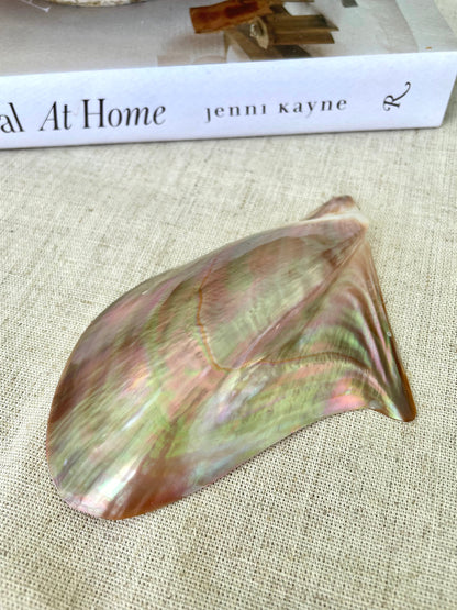 Iridescent Wing Oyster Shell: Brown Lip Mother of Pearl, Jewelry Pendant (2.5-6")