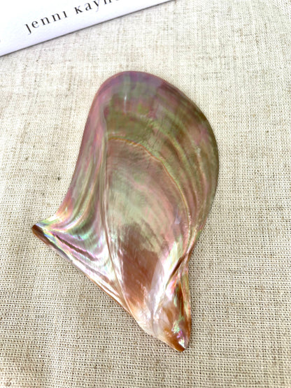 POLISHED WING OYSTER Shells * All Sizes* Natural Jewelry Pendent Making Supply Mother Of Pearl Seashell