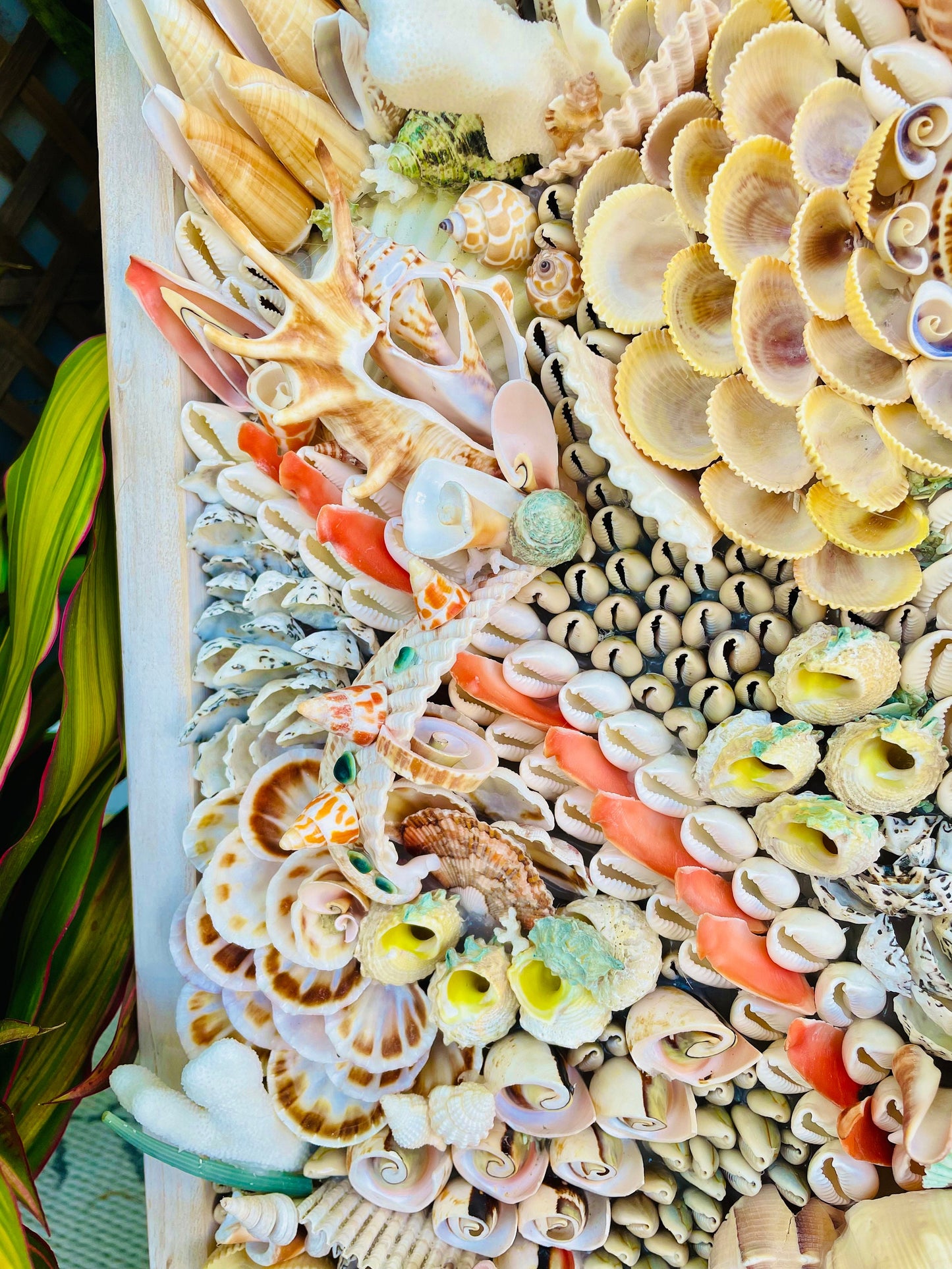 Handmade Abstract Sea Shell Coastal Wall Art 36x12" Natural Textured Seashells Urchins Coral Beach House Décor Lime Green, Orange & White